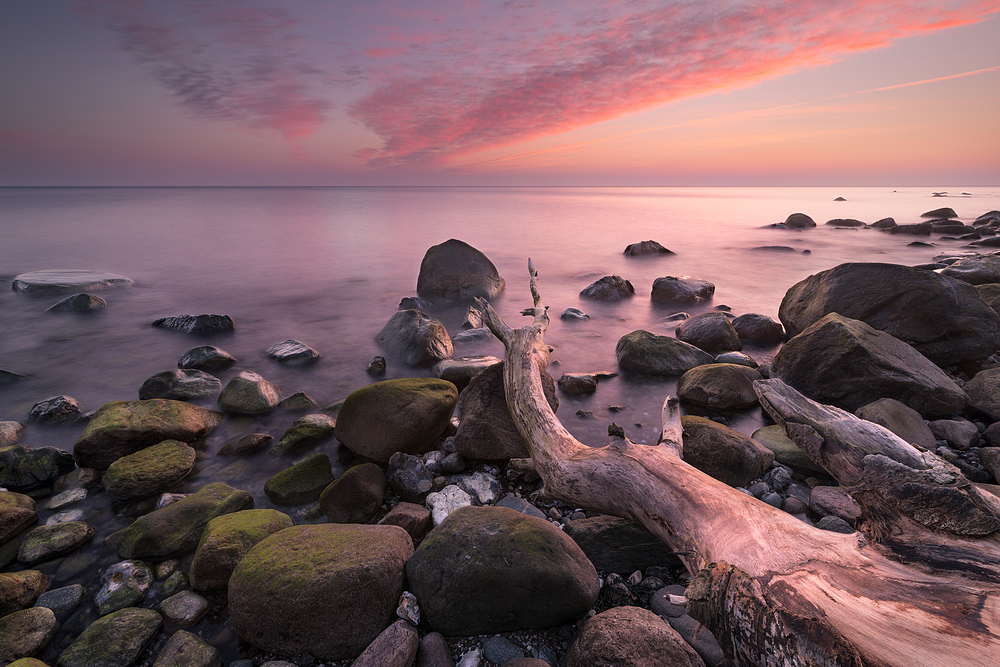 Morning Shore