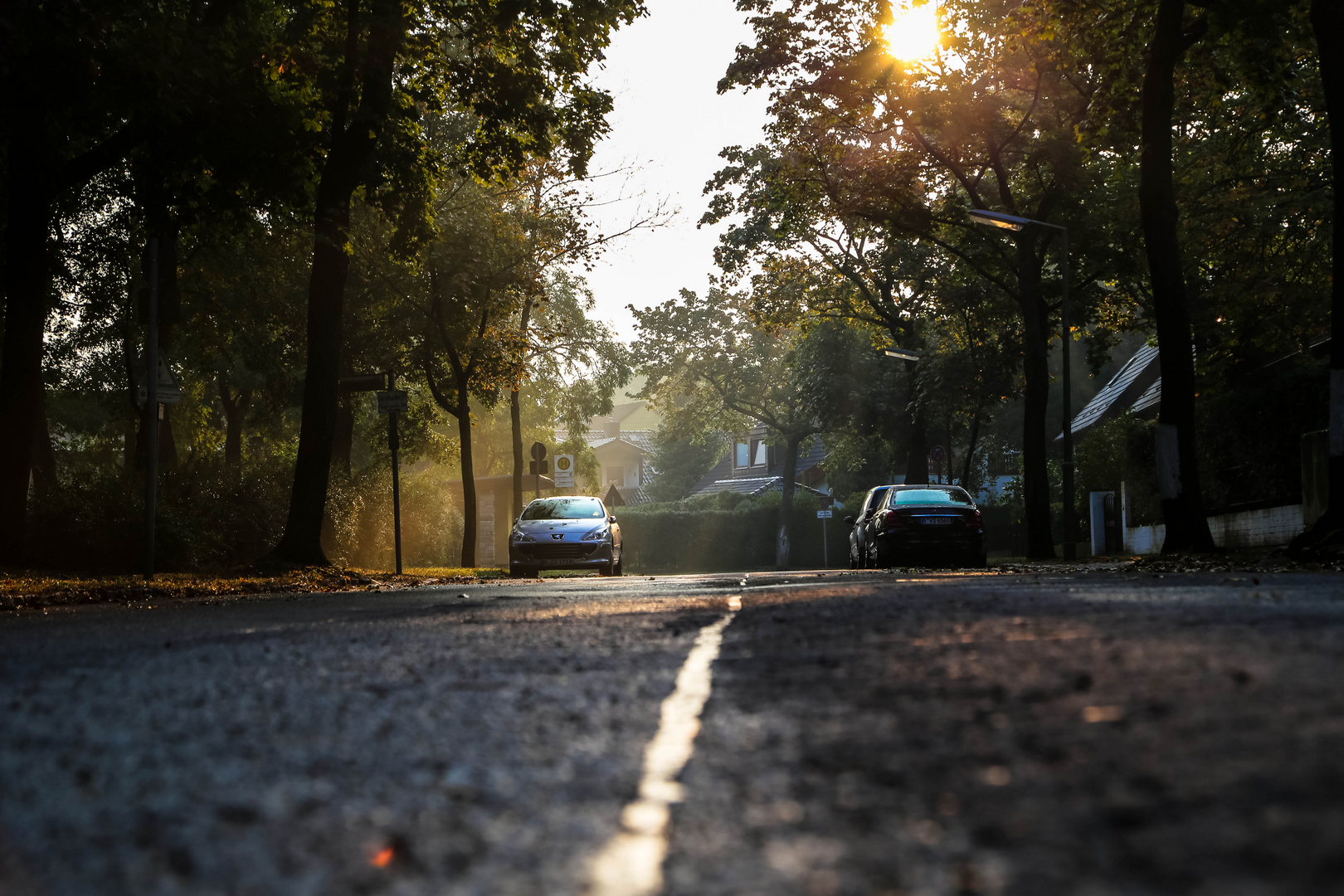 Morning street