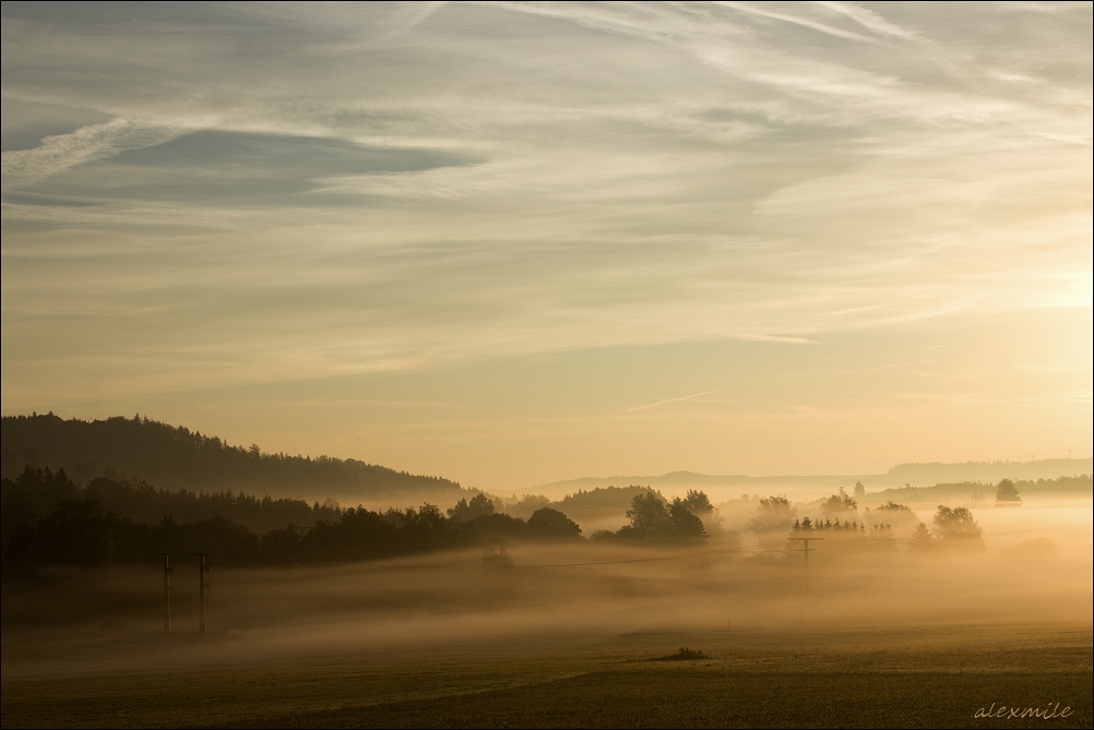 Morning Sun