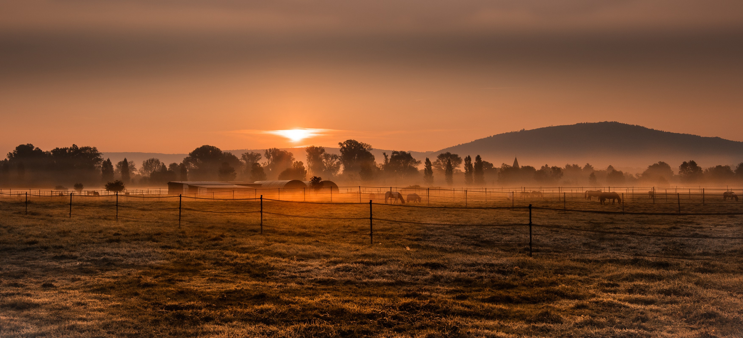 Morning Sun