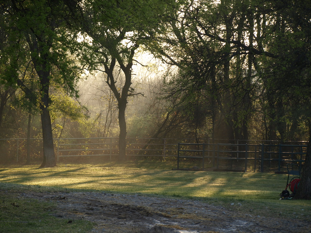 Morning Sun