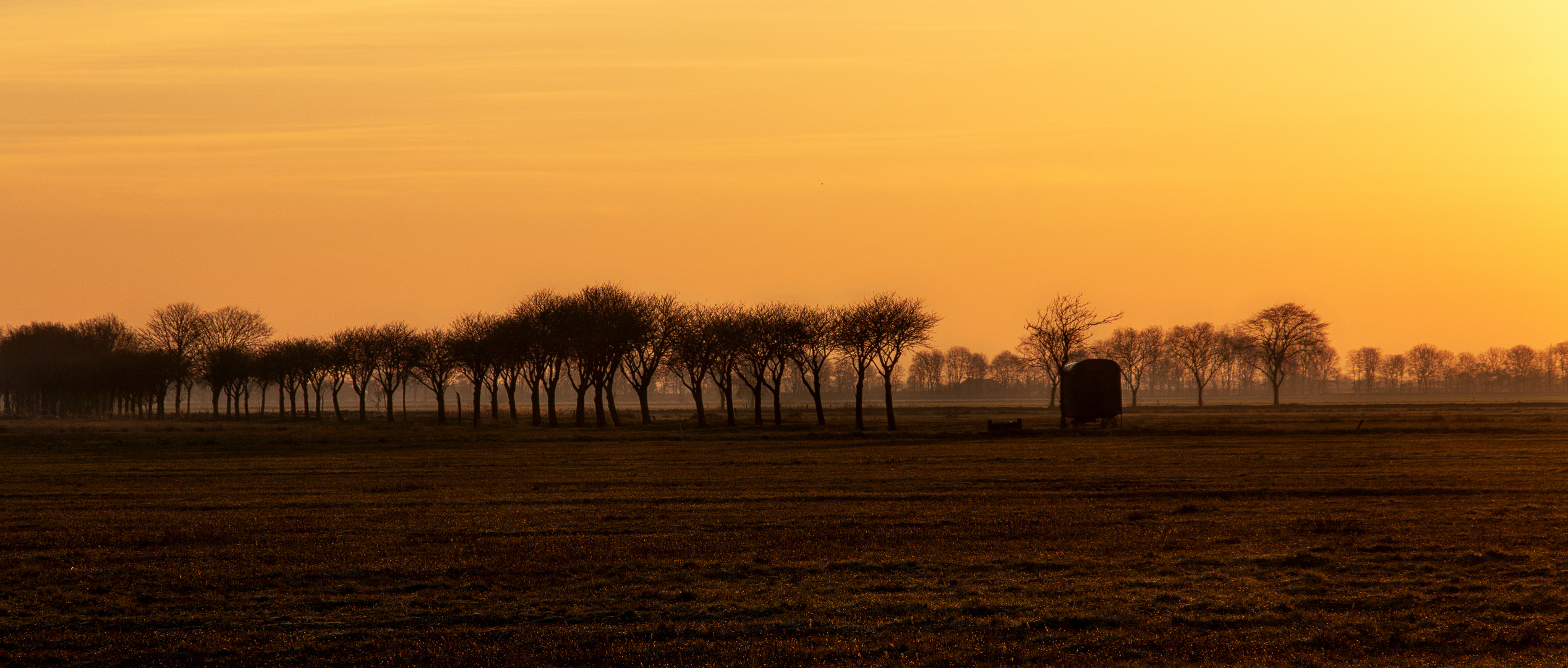 Morning sun