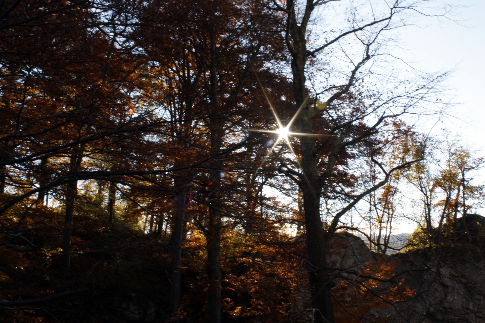 Morning Sun hinterm Kletterfelsen