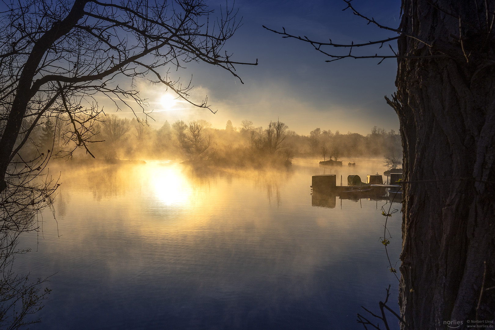 Morning sunlight