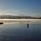 MORNING SWIM