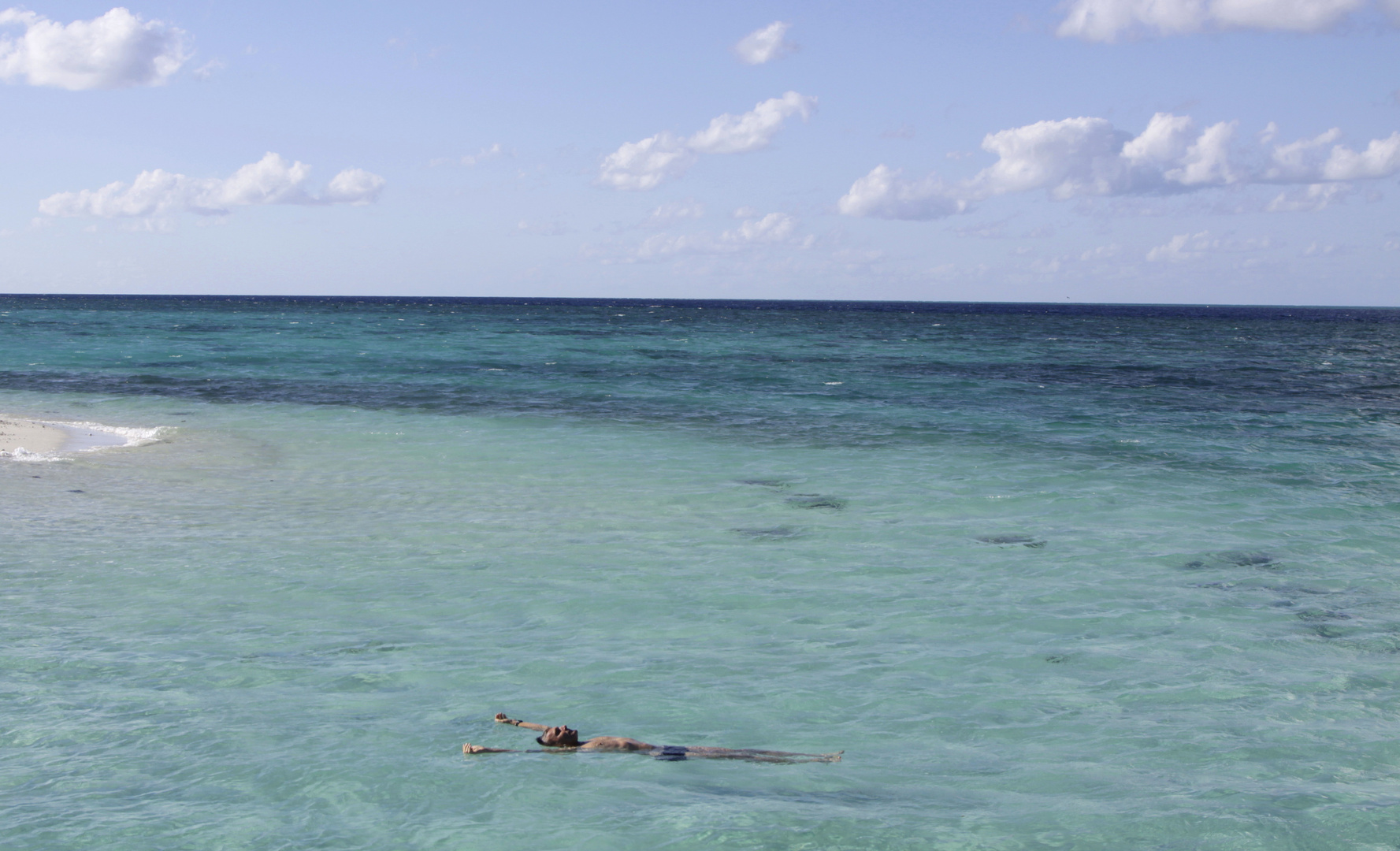 morning swim