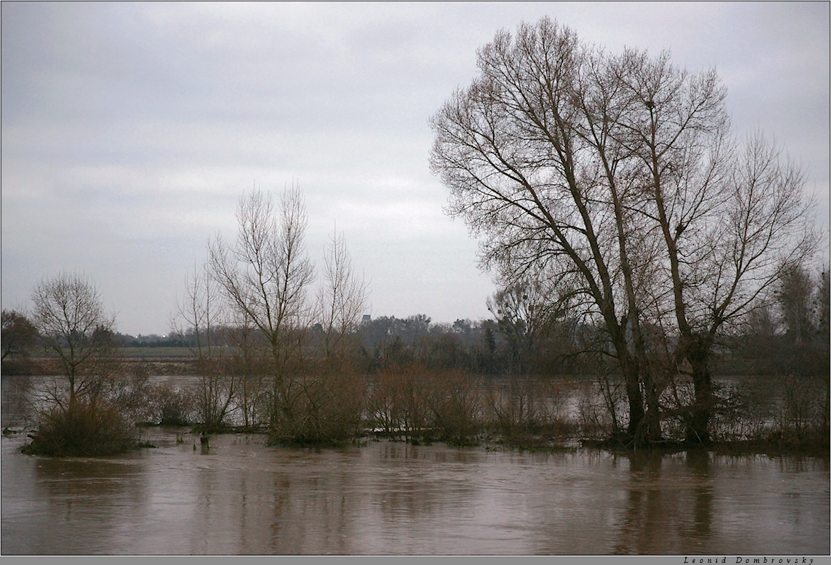 Morning view of Loire - 1