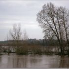 Morning view of Loire - 1