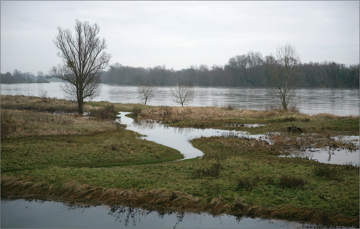 Morning view of Loire - 2