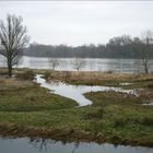 Morning view of Loire - 2