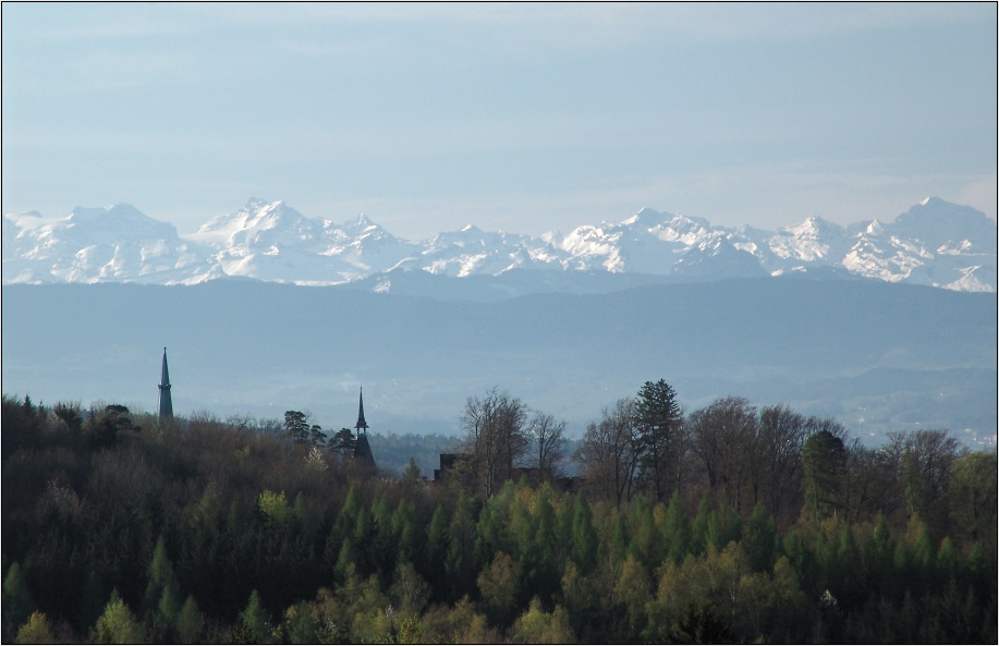 Morning view of the Alps