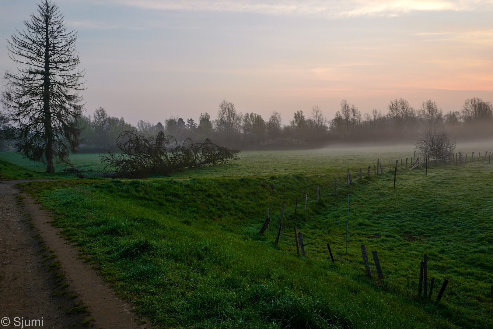 Morning walk