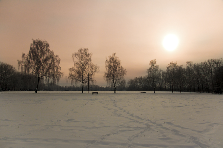 Morning Walk