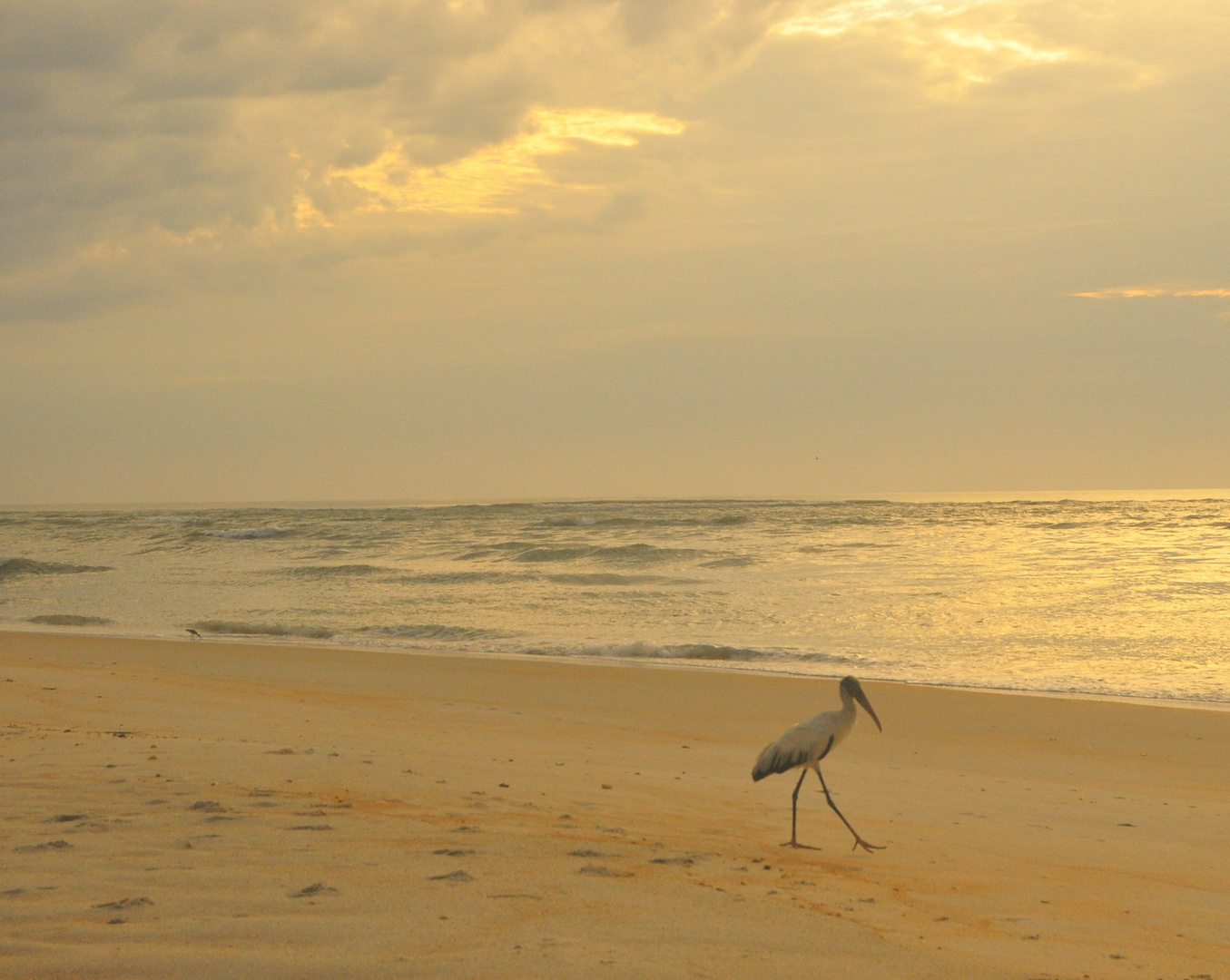 Morning Walk at Mantanzas Inlet