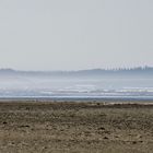 Morning walk at the beach_Tofino