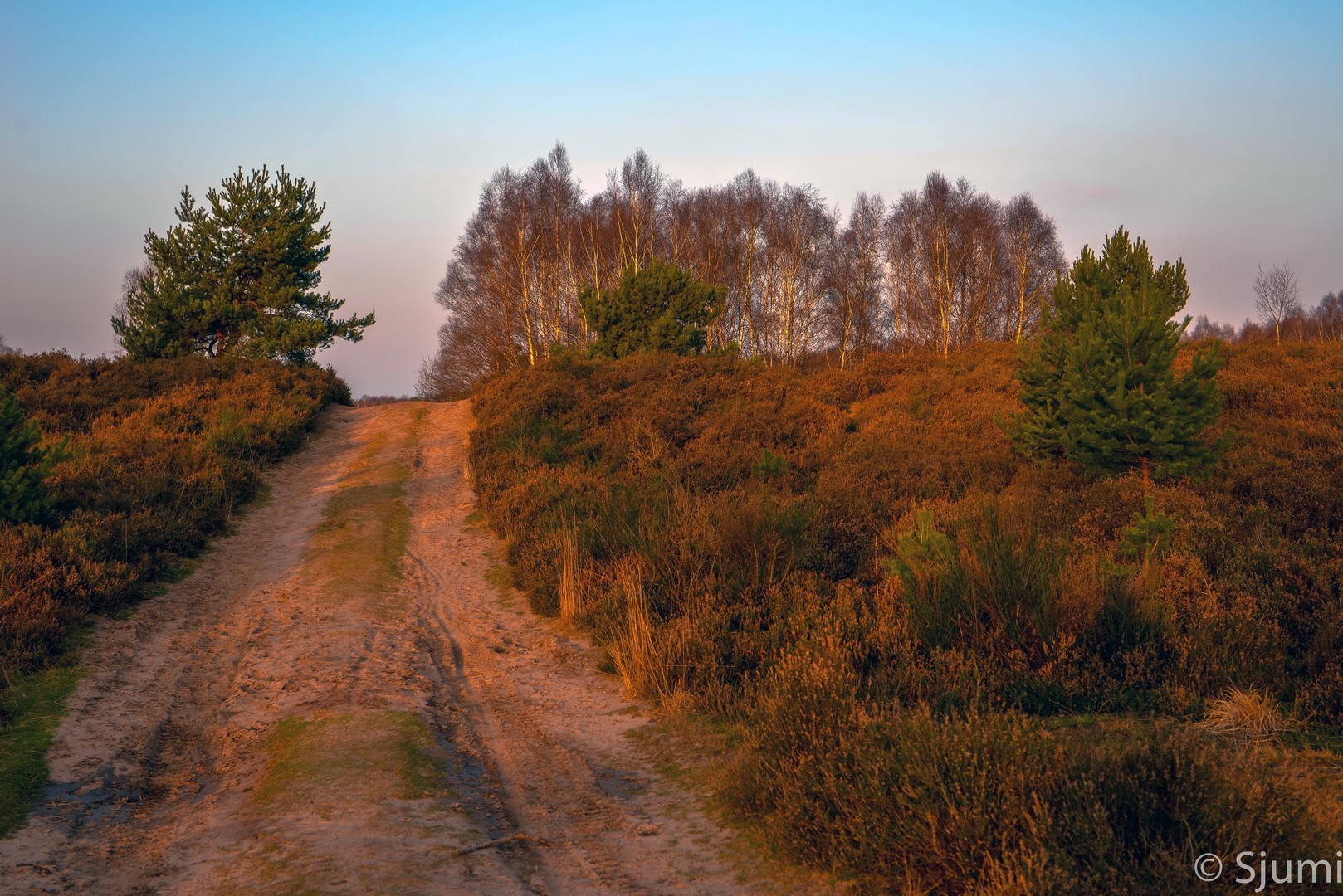 Morning walk uphill