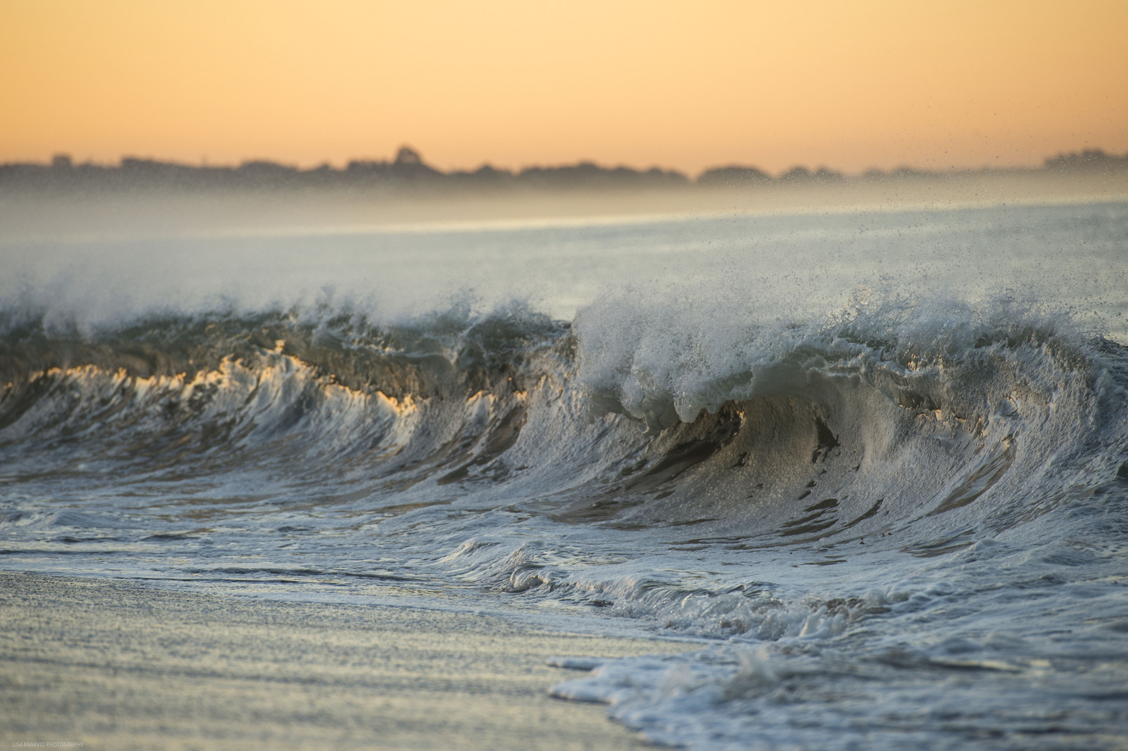 morning waves