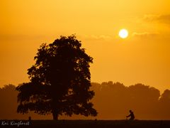 MorningCycling