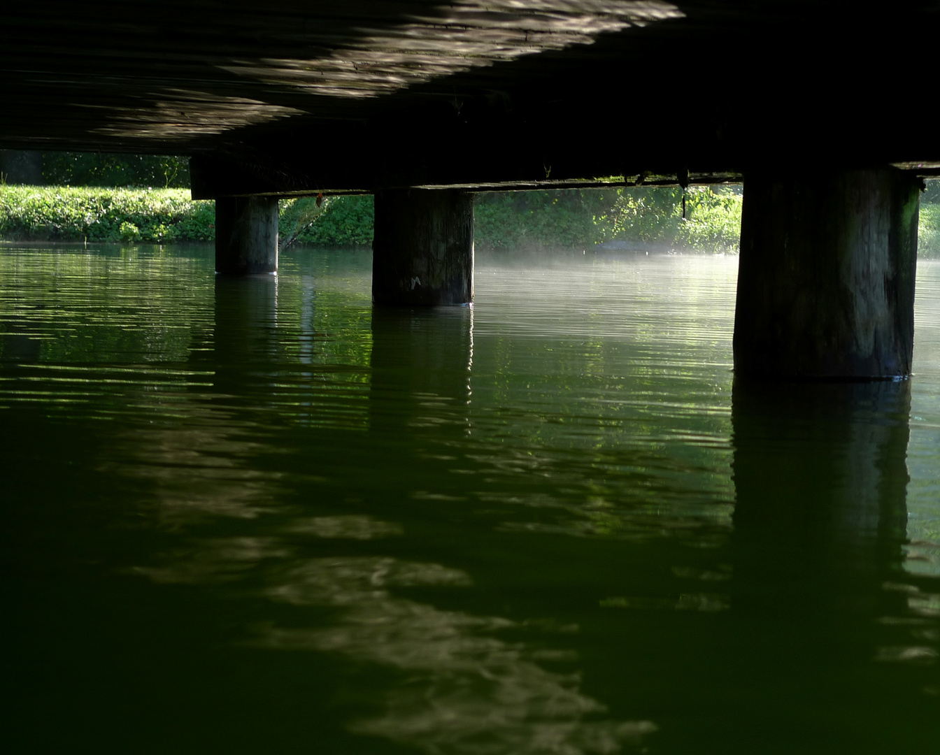 morningdust at my lake