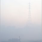 Morningfog at kumbha mela