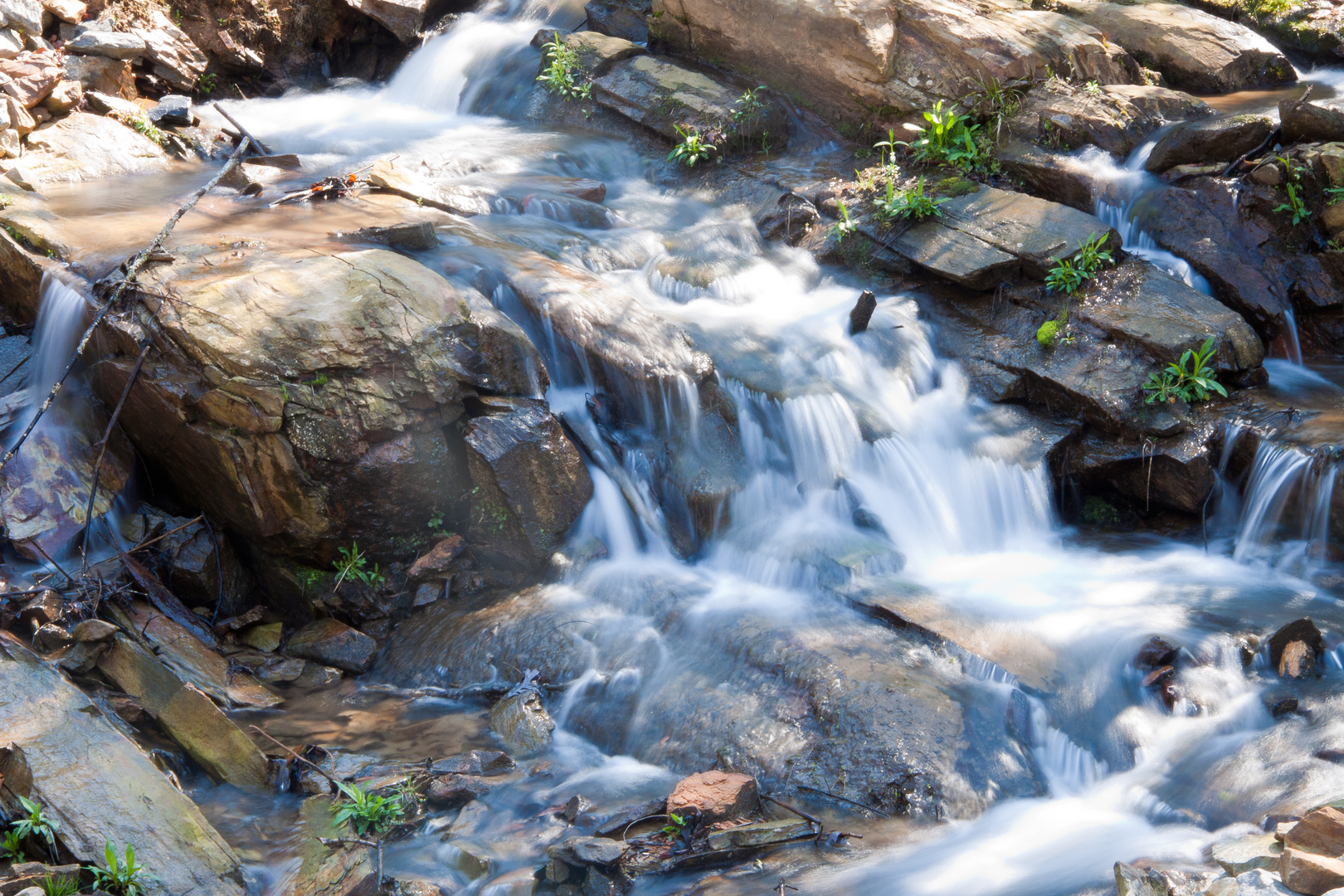 morning's creek