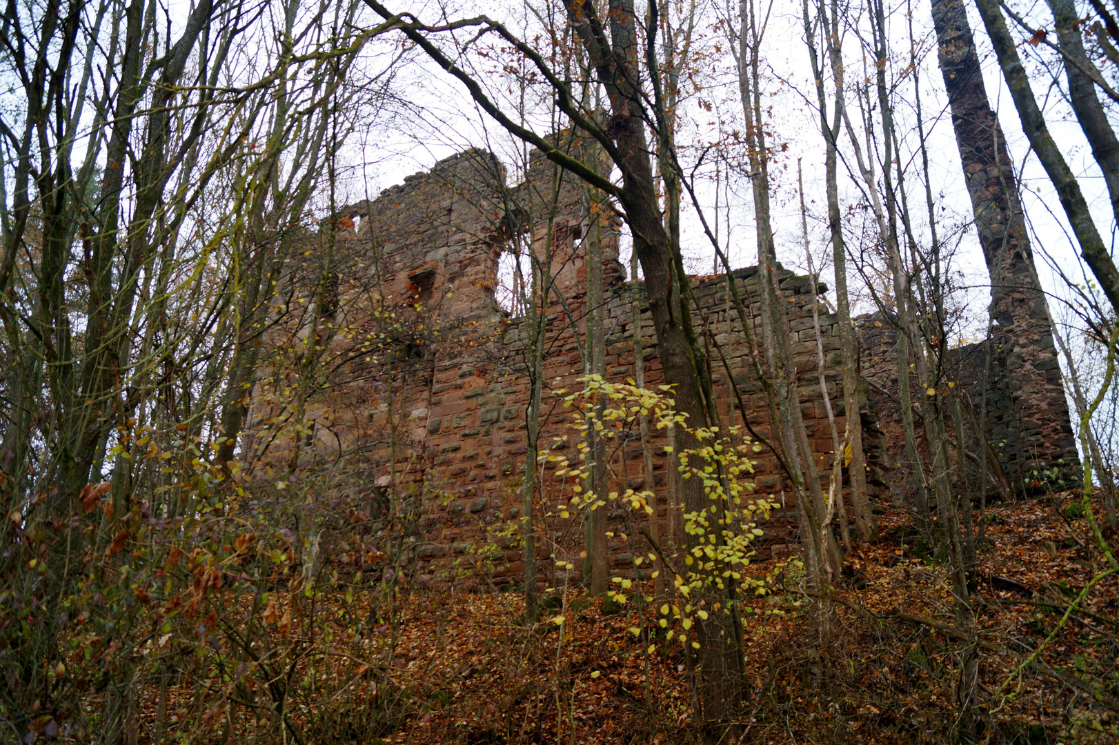 Morningwalk – Burgruine Leonrod 2