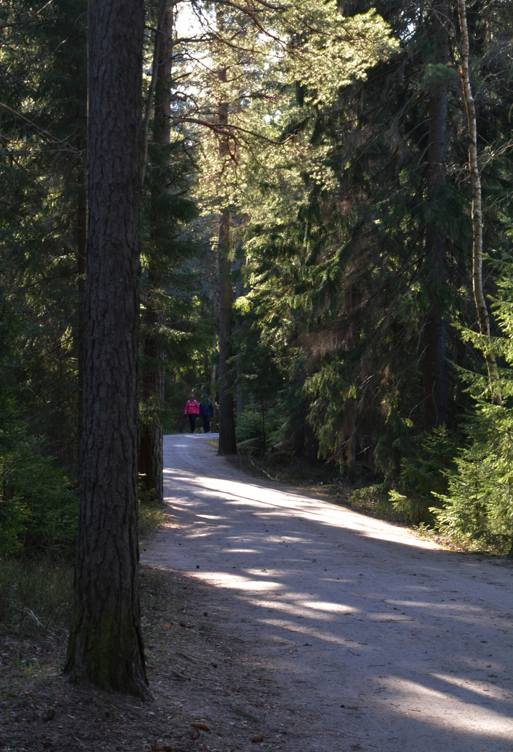 Morningwalk on Centralpark of Helsinki