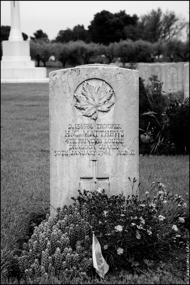 Moro River Canadian War Cemetery _6