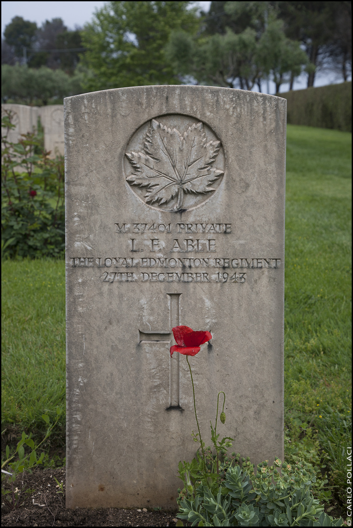 Moro River Canadian War Cemetery _7