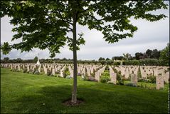 Moro River Canadian War Cemetery _8