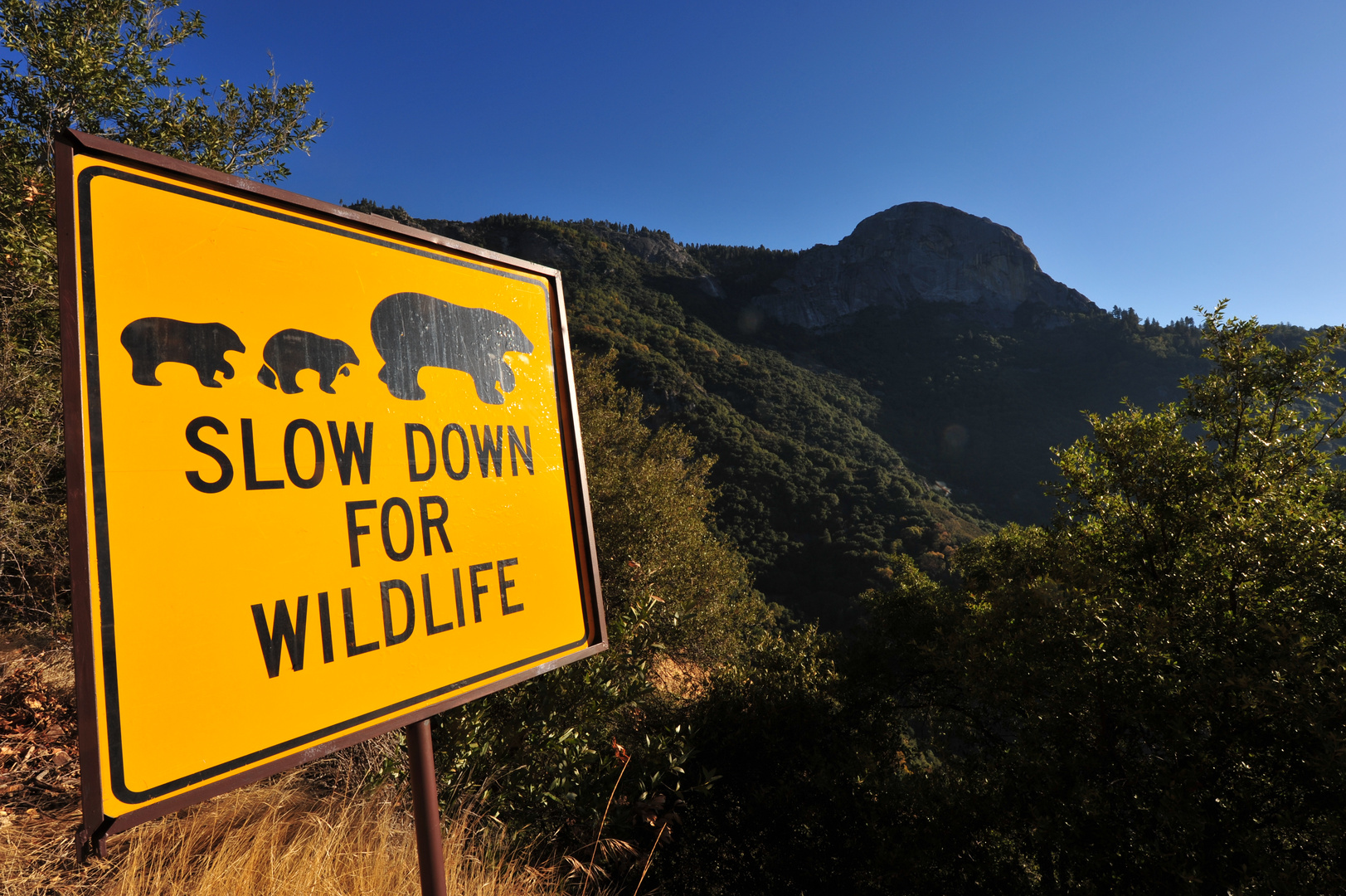 Moro Rock - Sequoia NP