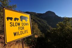 Moro Rock - Sequoia NP