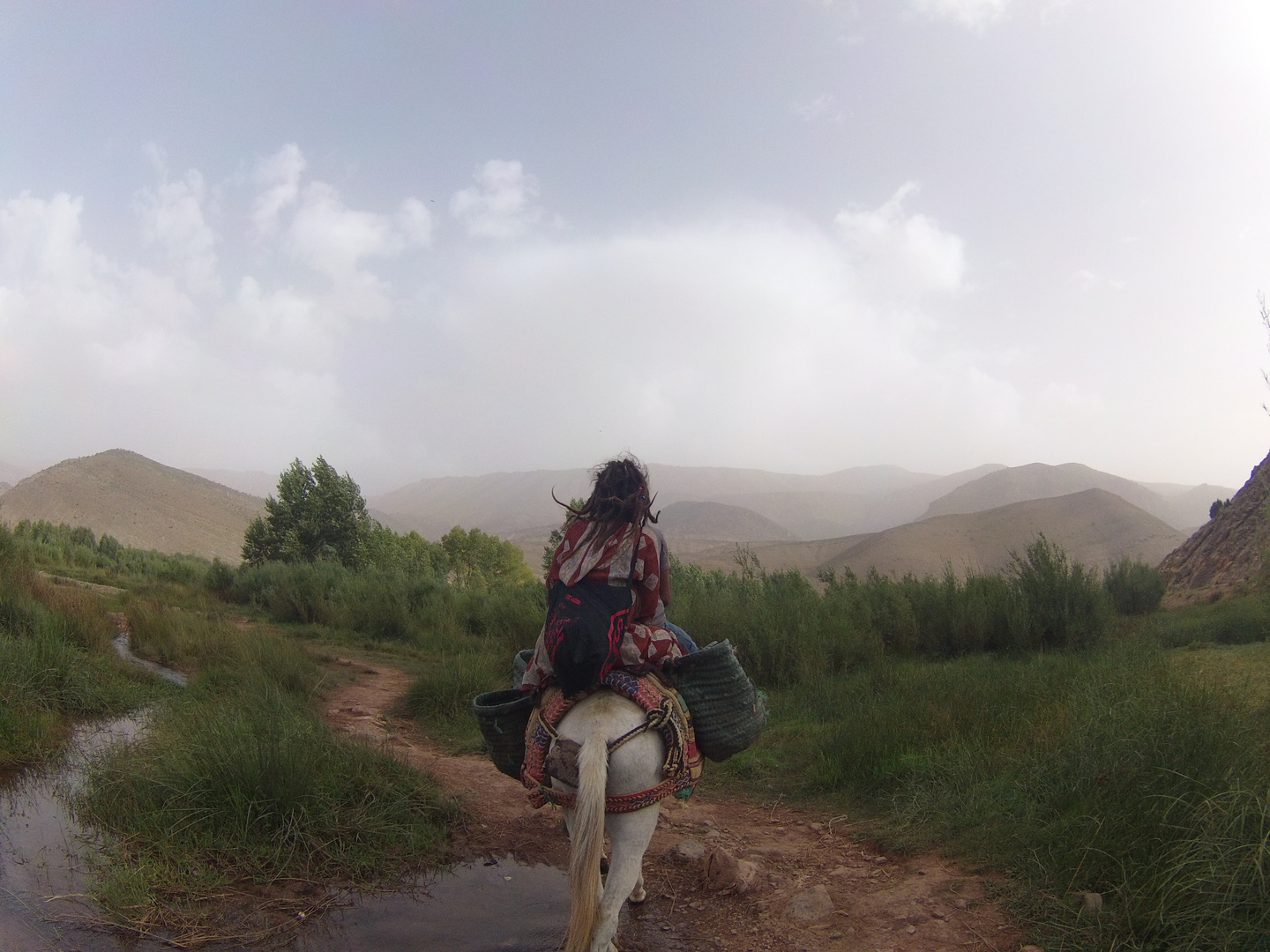 Moroccan hitch-hike