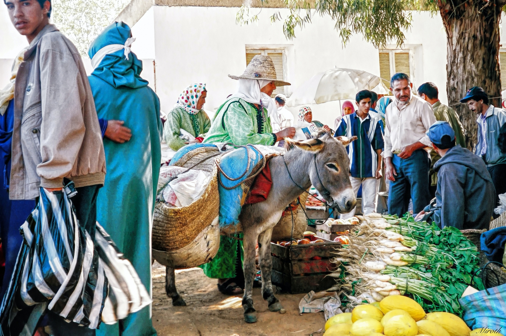 Moroccan market a donkey's day out