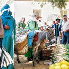 Moroccan market a donkey's day out