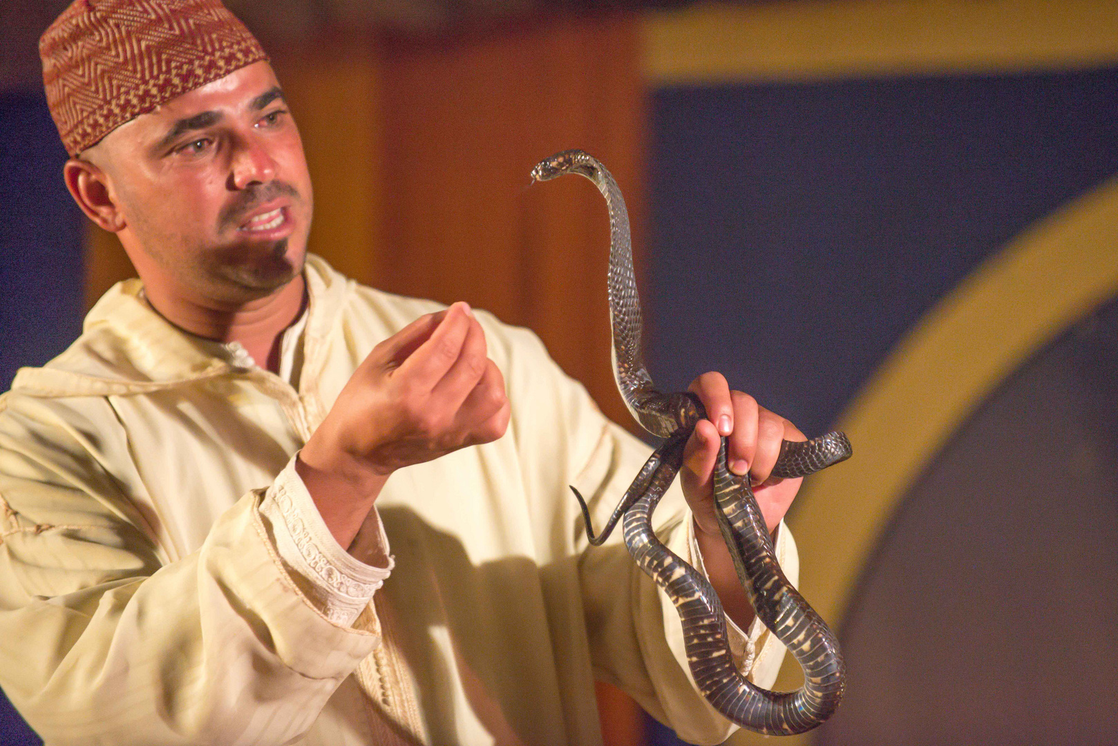 Moroccan snake charmer