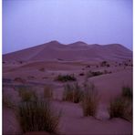 Morocco 1998 / the Dunes