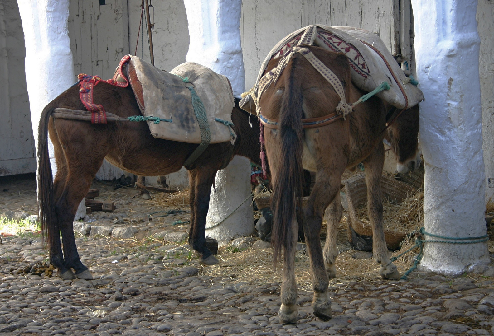 MOROCCO-CHEFCHAOUEN- EN STATIONNEMENT