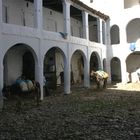 MOROCCO-CHEFCHAOUEN-LE CARAVANSERAIL