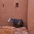 Morocco, Kasbah Ait Ben Haddou