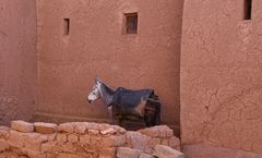 Morocco, Kasbah Ait Ben Haddou