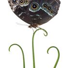 Morpho peleides