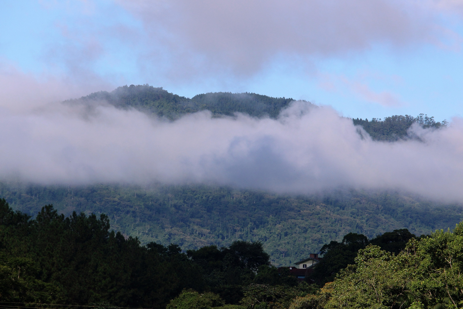 "Morro Azul" in Pomerode - SC in Nebel