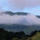 "Morro Azul" in Pomerode - SC in Nebel