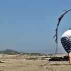 Morro Bay - Algenschlacht der Fabriken