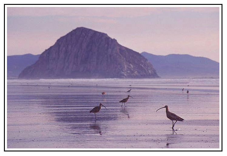 Morro Bay