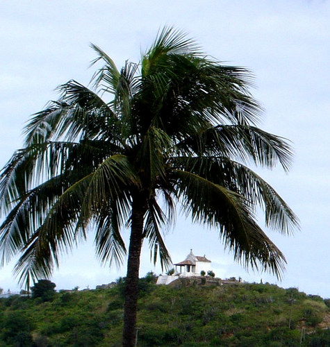 Morro da Guia - Cabo Frio-RJ