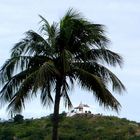 Morro da Guia - Cabo Frio-RJ