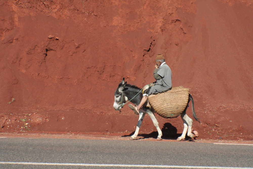 Morrocan Life