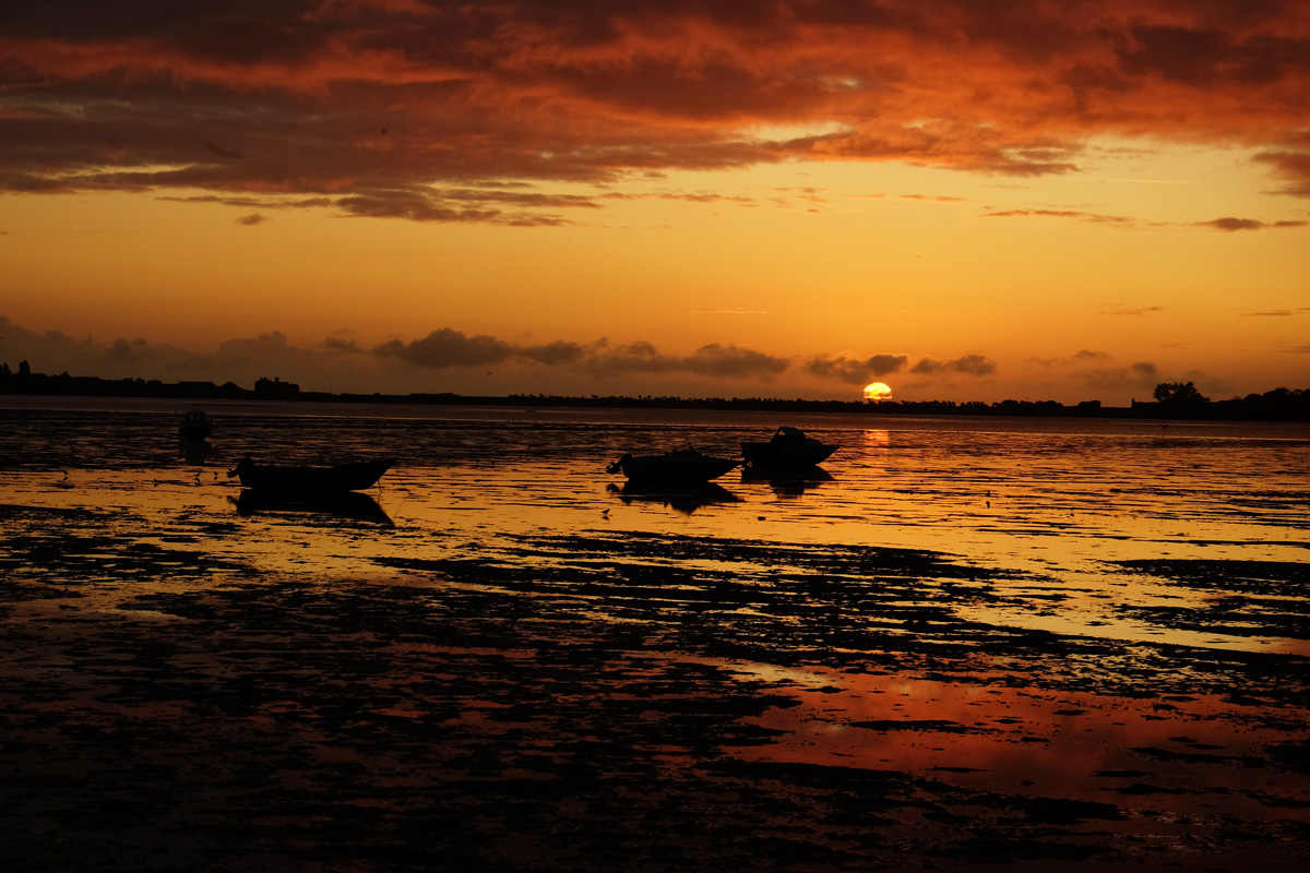 Morsalines